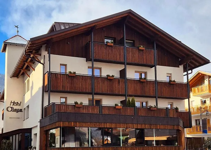 Hotel Olaga