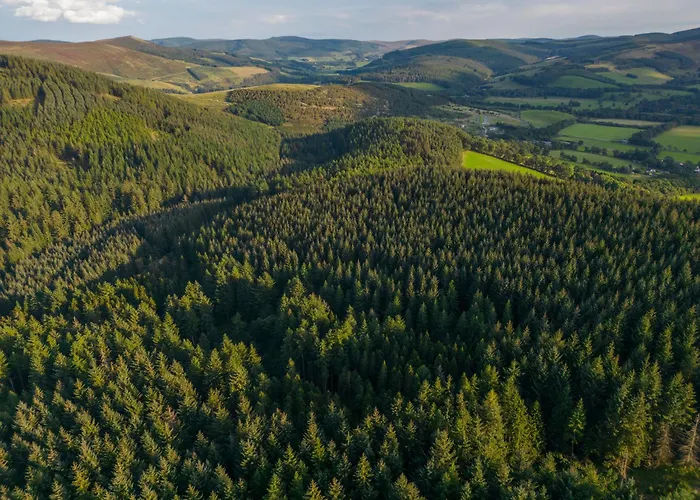 Glentress Forest Cabins - Forest Holidays Peebles