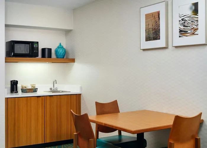 Springhill Suites By Marriott Chicago Southwest At Burr Ridge Hinsdale