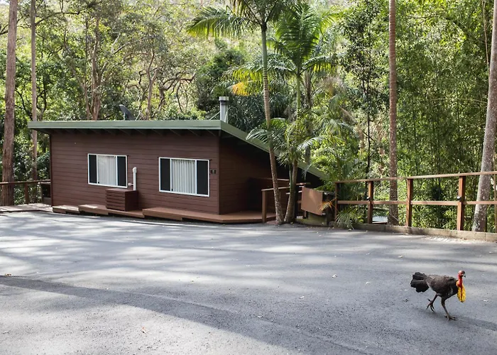 Kondalilla Eco Resort