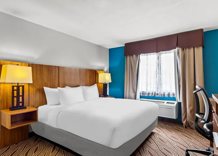 Quality Inn & Suites Airport - Stone Oak