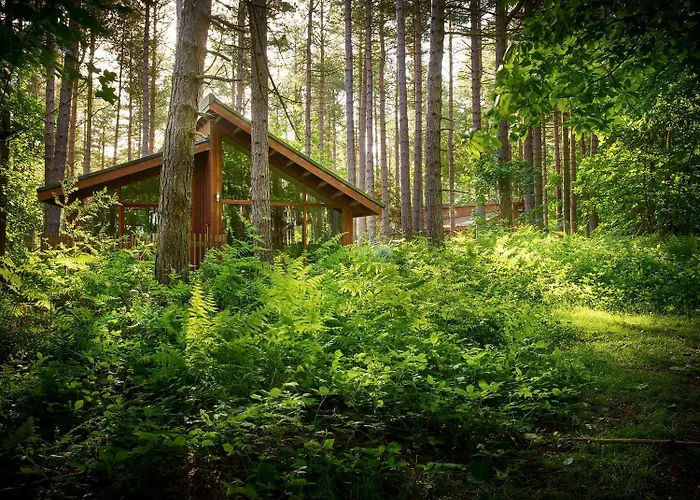 Blackwood Forest Cabins - Forest Holidays Popham