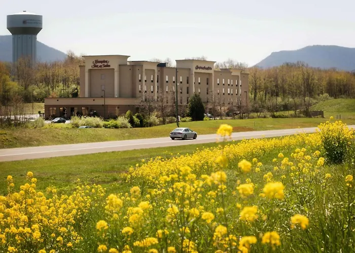 Hampton Inn And Suites Woodstock, Virginia
