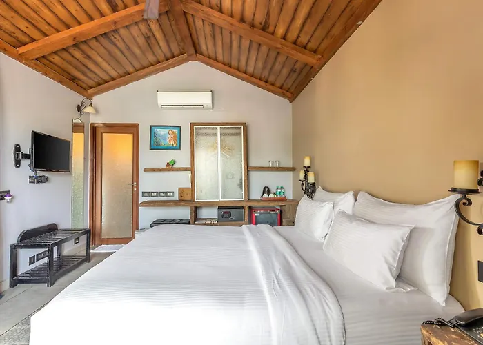 The Baga Beach Resort