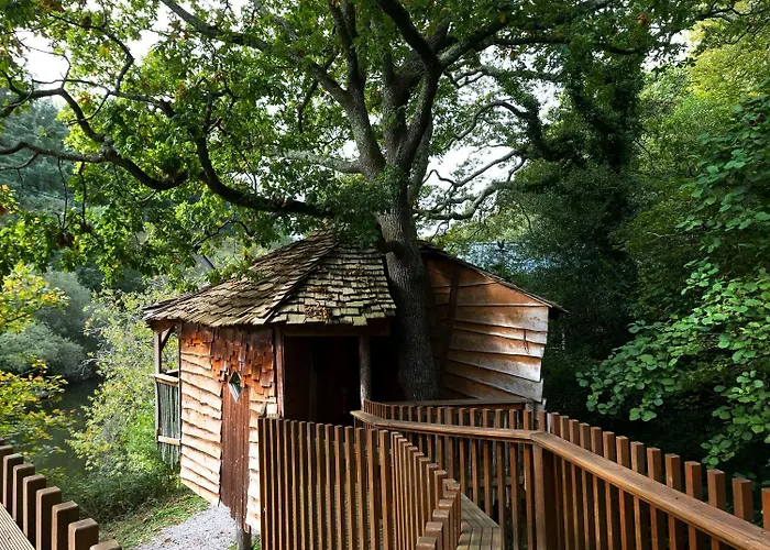 Deerpark Cabins, Cornwall - Forest Holidays