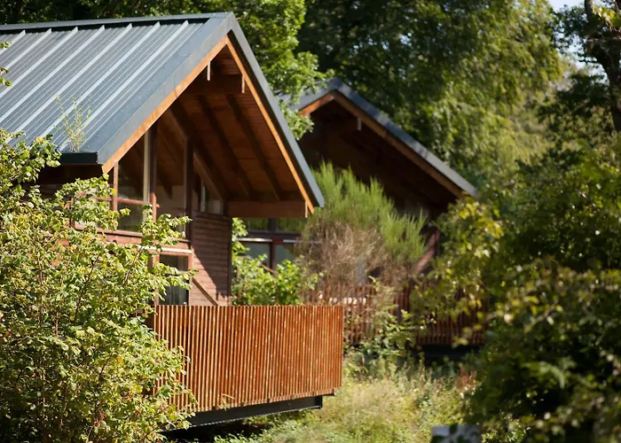 Deerpark Cabins, Cornwall - Forest Holidays