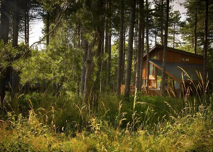 Thorpe Forest Cabins - Forest Holidays Thetford