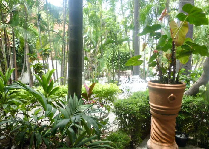 Hotel Bajo el Volcan