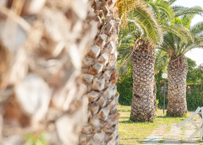Il Poggio Di Tropea Villaggio Soft All Inclusive