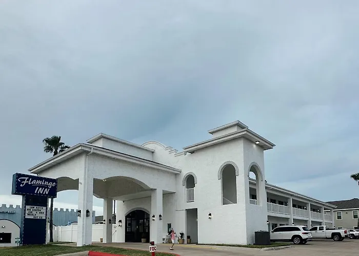 The Flamingo - South Padre Island