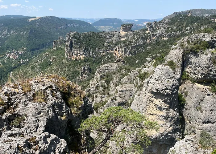 Domaine Aigoual Cevennes