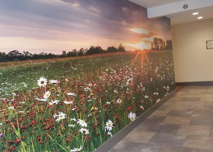 Quality Inn & Suites Detroit Lakes