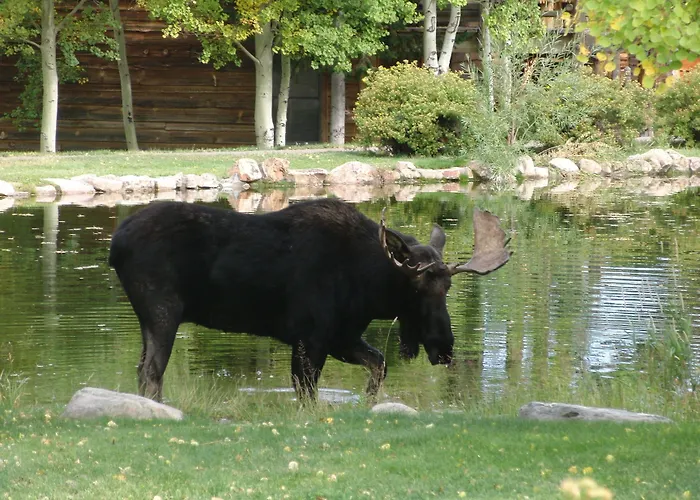 Spring Creek Ranch Hotel Jackson