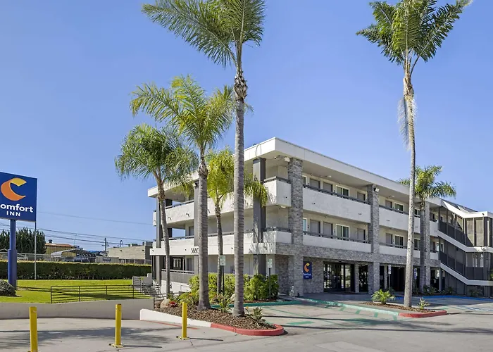 Comfort Inn Sea World Area