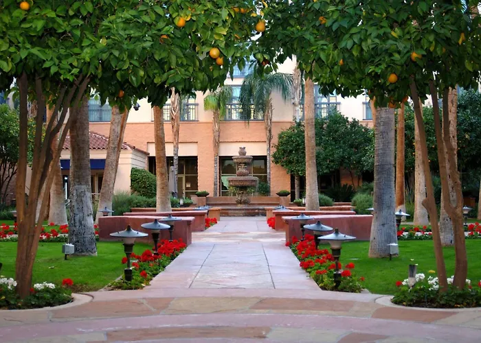 Tempe Mission Palms