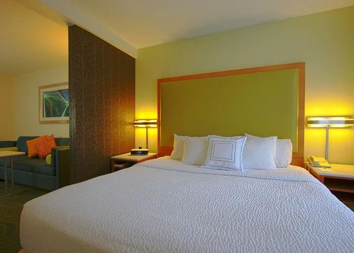 Springhill Suites By Marriott Hershey Near The Park