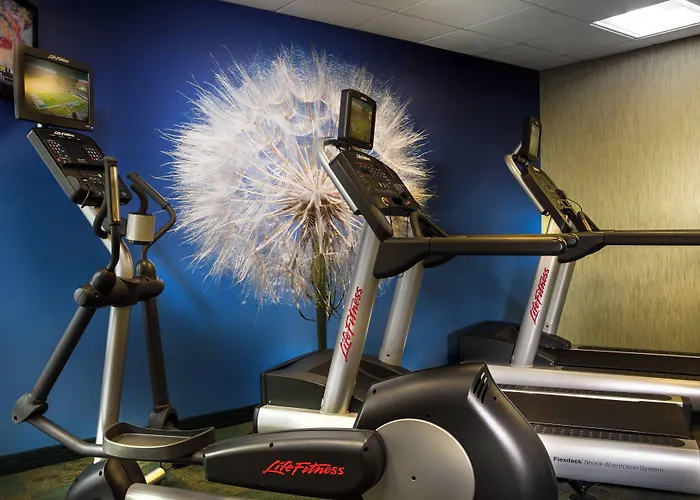 Springhill Suites Dallas Dfw Airport North/Grapevine