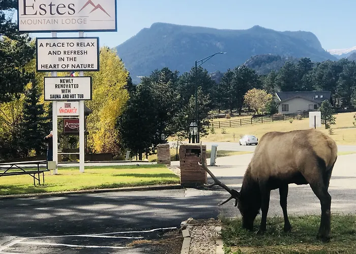 Estes Mountain Inn
