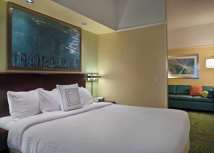 Springhill Suites St Petersburg Clearwater Largo