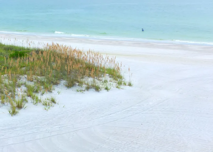 Barefoot Beach Club St. Pete Beach