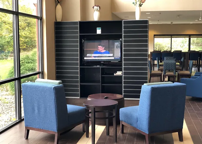 Comfort Suites South