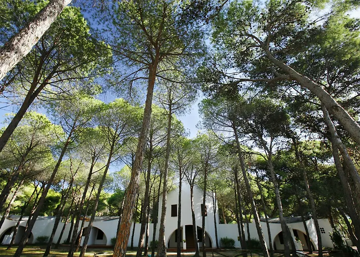 Hotel Mare Pineta