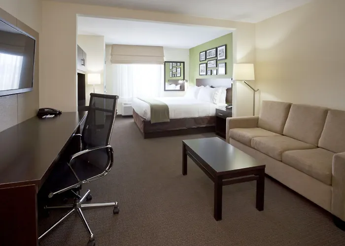 Holiday Inn Express Hotel & Suites Rogers By Ihg