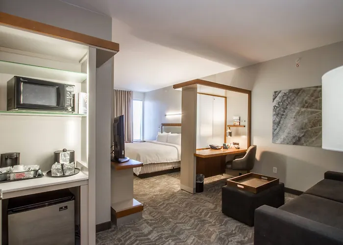 Springhill Suites By Marriott San Angelo