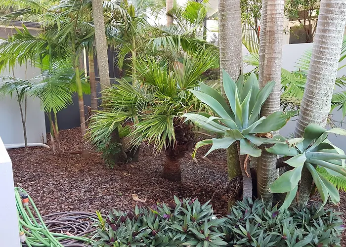 Excellsior Apartments Mooloolaba
