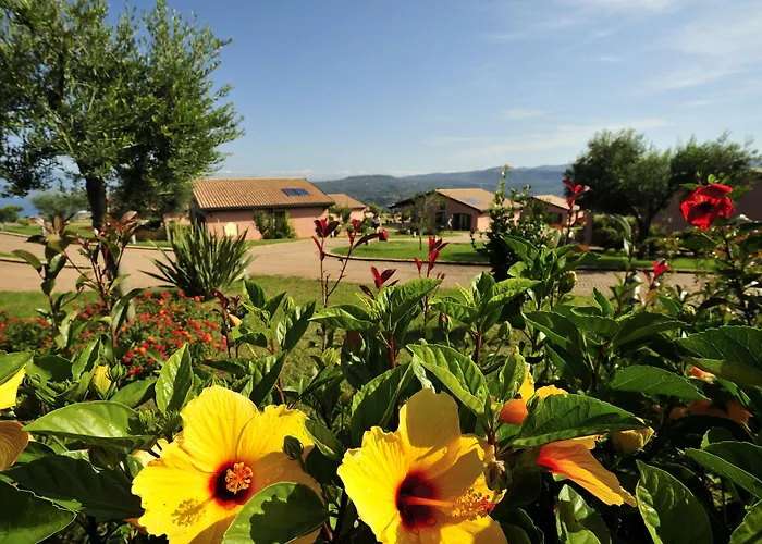 Popilia Country Resort Pizzo 
