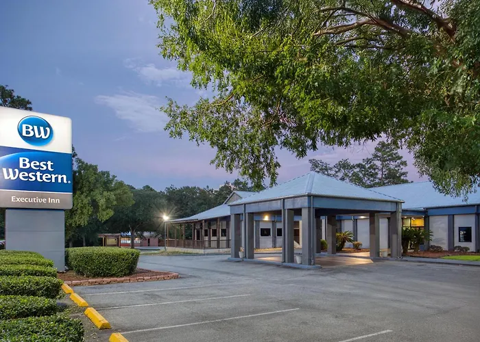 Best Western Executive Inn