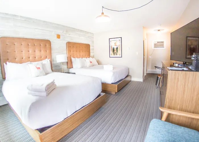Lamphouse By Basecamp Hotel Canmore