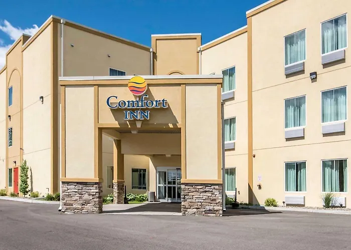 Comfort Inn Apalachin - Binghamton W Route 17