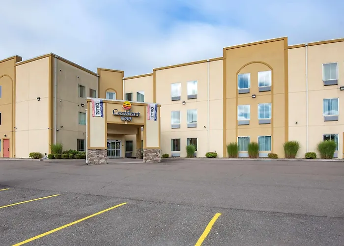 Comfort Inn Apalachin - Binghamton W Route 17