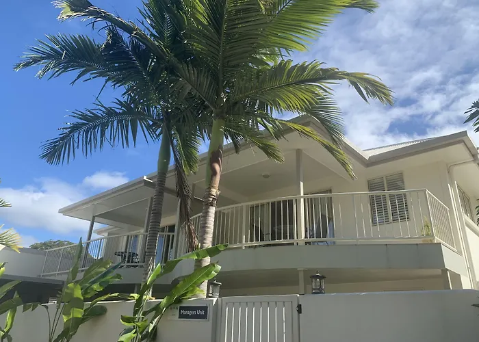 Noosa River Palms