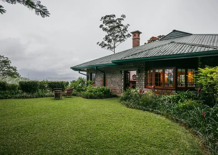 Ceylon Tea Trails