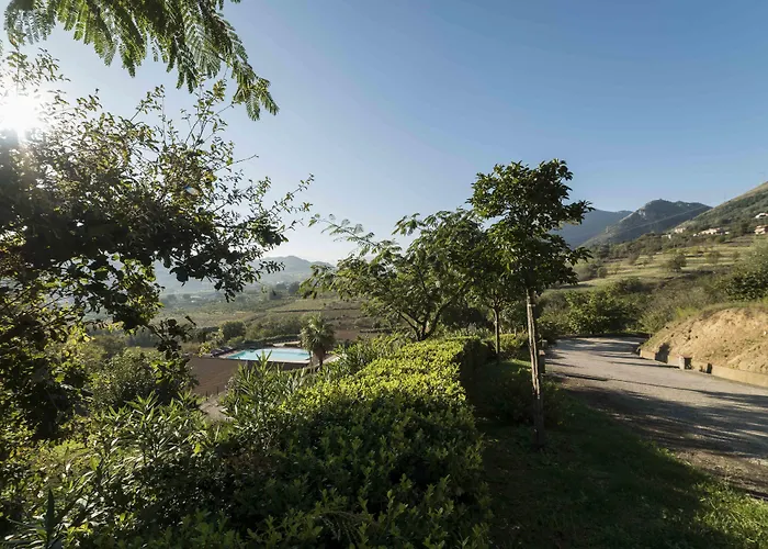 Tenuta D'Amore