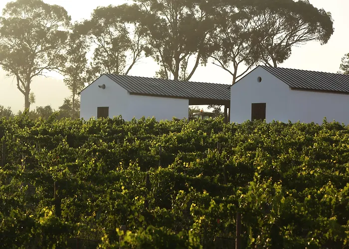 Torre De Palma Wine Hotel, Monforte, A Member Of Design Hotels