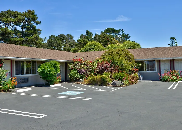 Surf Motel And Gardens