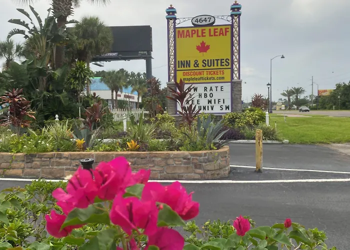 Maple Leaf Inn & Suites