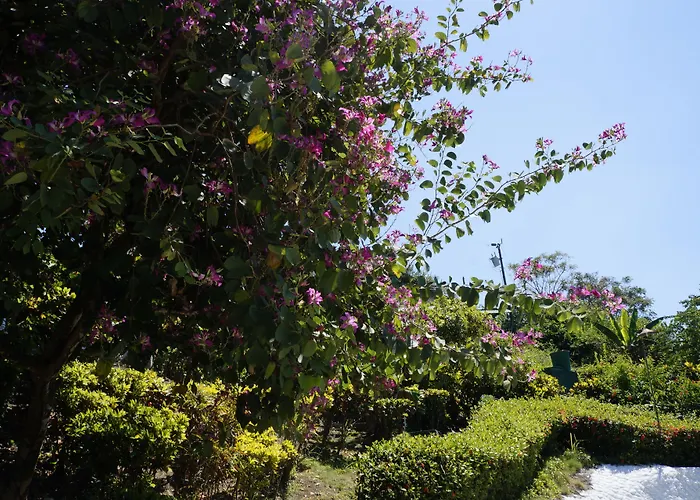 Hotel Villas De La Selva Manuel Antonio