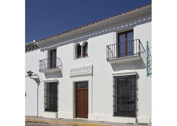 Hotel Galería Essentia