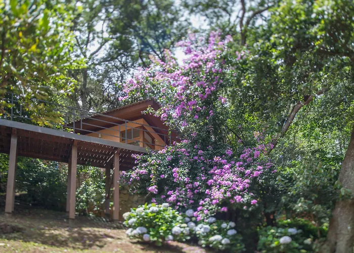 Kuriuwa Hotel Monte Verde 