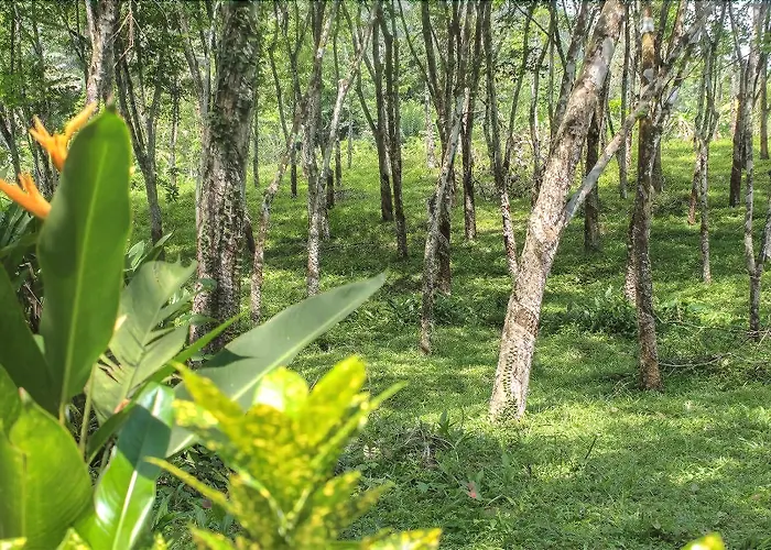 Plantation Villa Kalutara