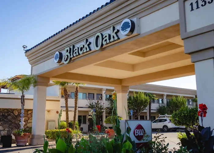 Best Western Plus Black Oak Paso Robles