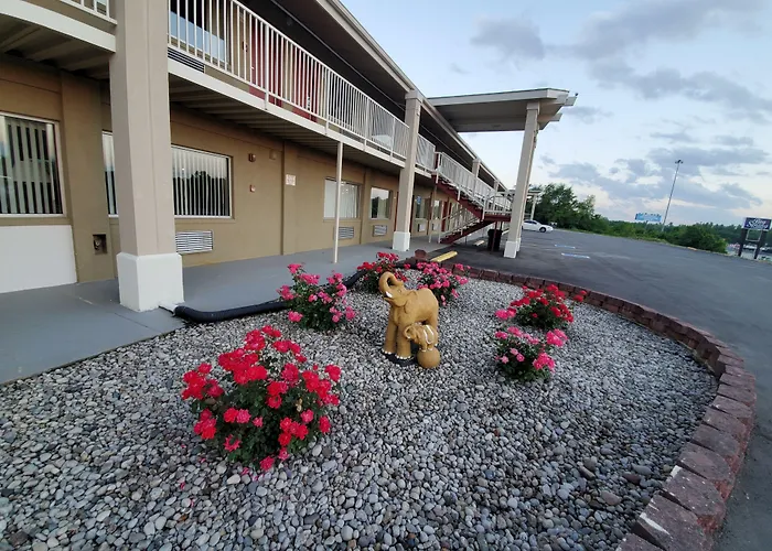 Big Spring Inn Madisonville