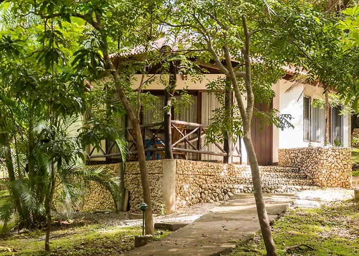 Cabinas Las Olas
