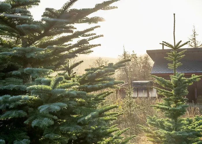Garwnant, Brecon Beacons Cabins - Forest Holidays