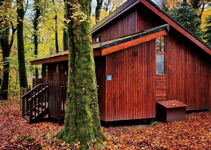 Garwnant, Brecon Beacons Cabins - Forest Holidays