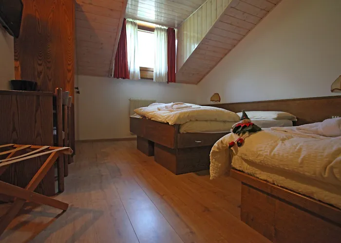 Hotel Biancaneve Cogolo